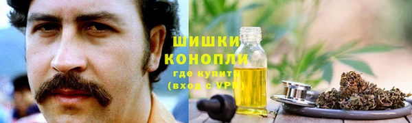 гашик Алексин