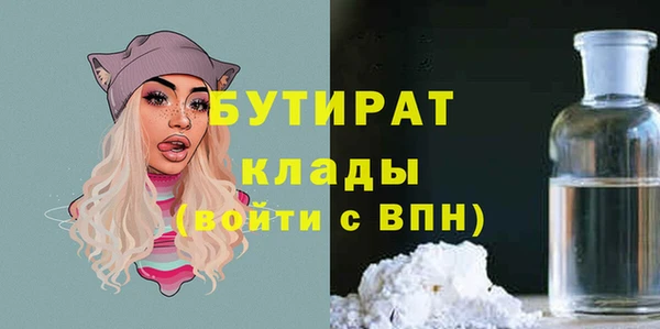 гашик Алексин