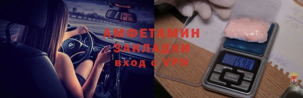 гашик Алексин