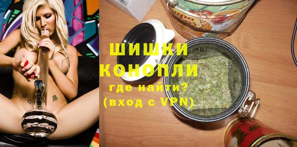 гашик Алексин