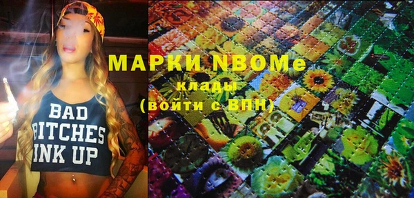 гашик Алексин