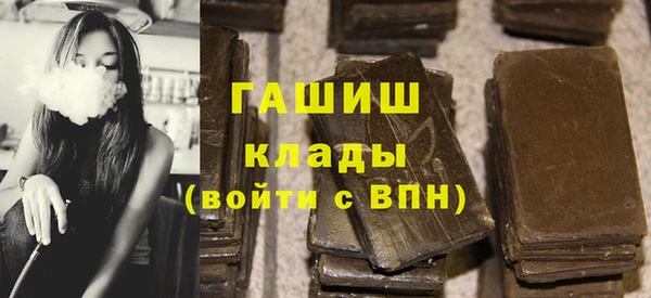 гашик Алексин